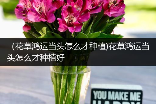 （花草鸿运当头怎么才种植)花草鸿运当头怎么才种植好