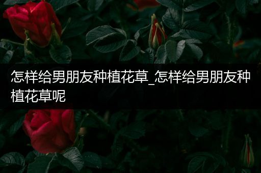 怎样给男朋友种植花草_怎样给男朋友种植花草呢