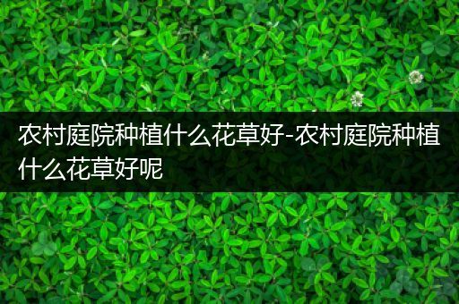 农村庭院种植什么花草好-农村庭院种植什么花草好呢