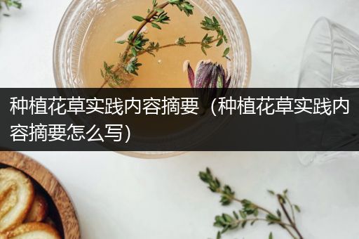 种植花草实践内容摘要（种植花草实践内容摘要怎么写）