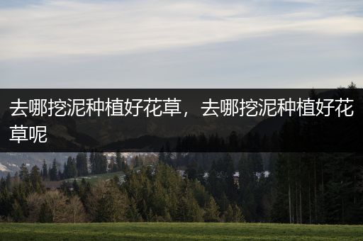 去哪挖泥种植好花草，去哪挖泥种植好花草呢