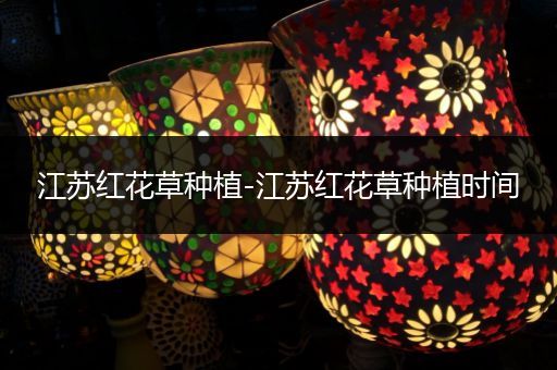 江苏红花草种植-江苏红花草种植时间