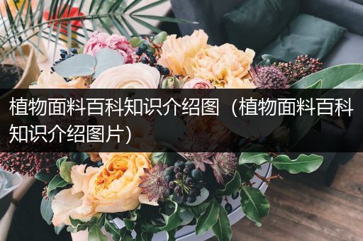植物面料百科知识介绍图（植物面料百科知识介绍图片）