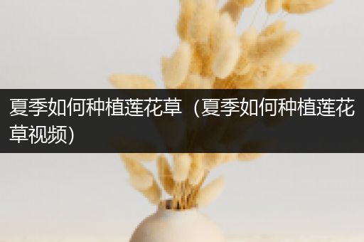 夏季如何种植莲花草（夏季如何种植莲花草视频）