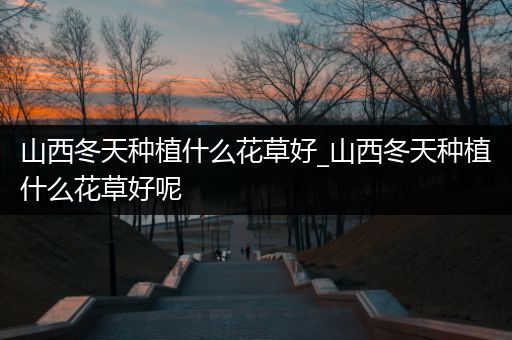 山西冬天种植什么花草好_山西冬天种植什么花草好呢