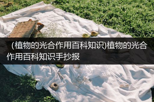 （植物的光合作用百科知识)植物的光合作用百科知识手抄报