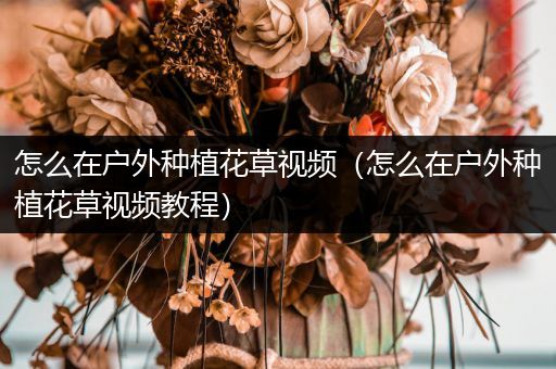怎么在户外种植花草视频（怎么在户外种植花草视频教程）