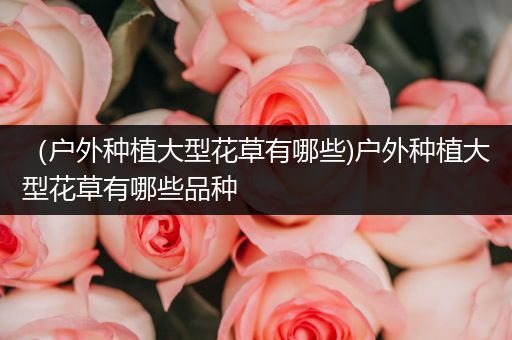 （户外种植大型花草有哪些)户外种植大型花草有哪些品种