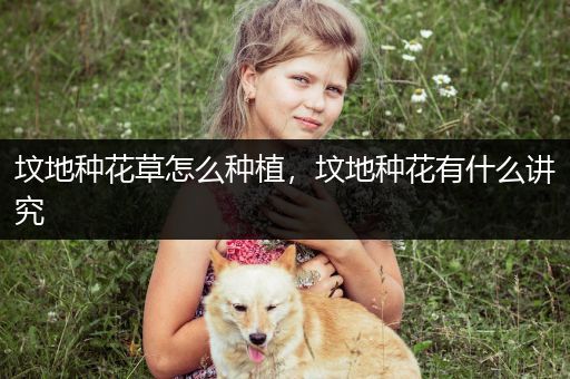 坟地种花草怎么种植，坟地种花有什么讲究