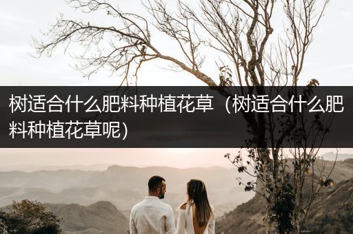 树适合什么肥料种植花草（树适合什么肥料种植花草呢）