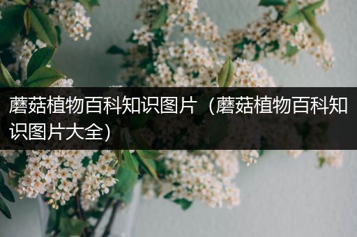 蘑菇植物百科知识图片（蘑菇植物百科知识图片大全）
