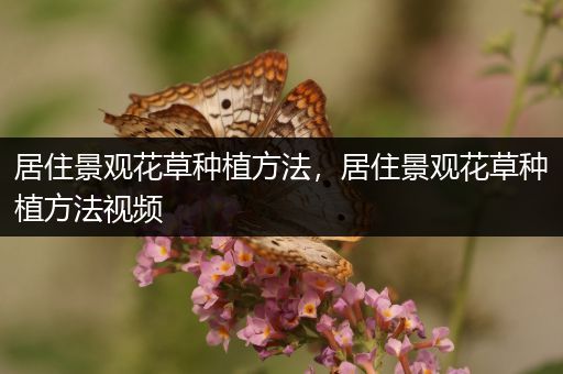 居住景观花草种植方法，居住景观花草种植方法视频