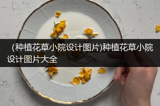 （种植花草小院设计图片)种植花草小院设计图片大全
