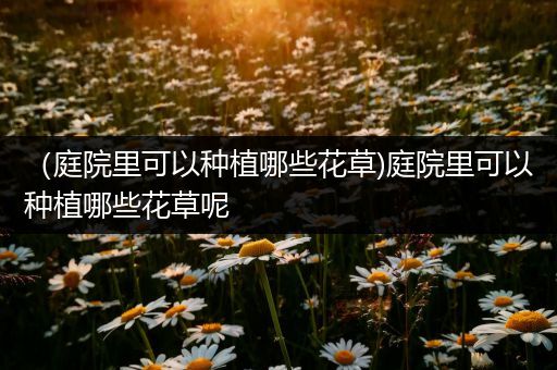 （庭院里可以种植哪些花草)庭院里可以种植哪些花草呢
