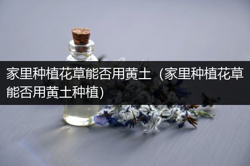 家里种植花草能否用黄土（家里种植花草能否用黄土种植）