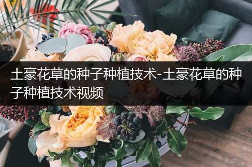 土豪花草的种子种植技术-土豪花草的种子种植技术视频
