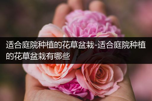 适合庭院种植的花草盆栽-适合庭院种植的花草盆栽有哪些
