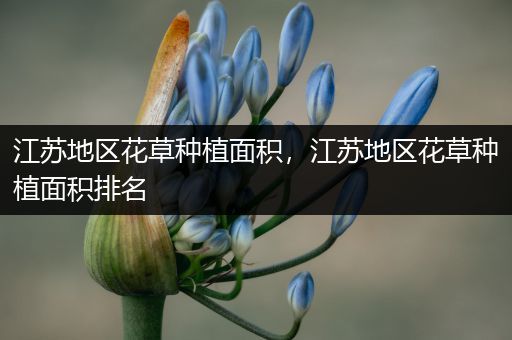 江苏地区花草种植面积，江苏地区花草种植面积排名