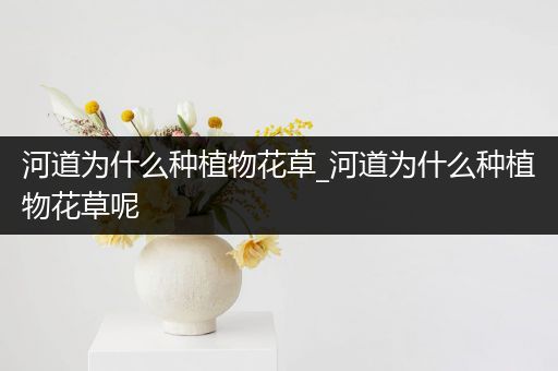 河道为什么种植物花草_河道为什么种植物花草呢