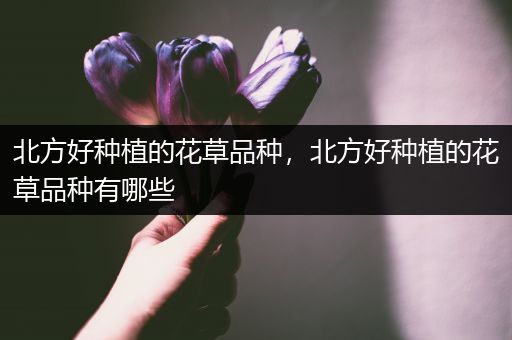 北方好种植的花草品种，北方好种植的花草品种有哪些