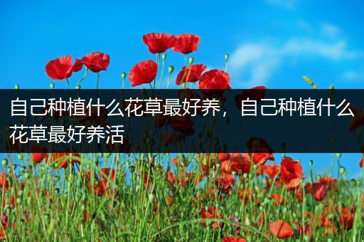 自己种植什么花草最好养，自己种植什么花草最好养活