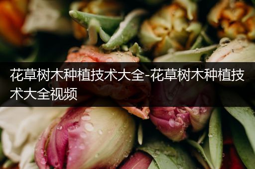 花草树木种植技术大全-花草树木种植技术大全视频