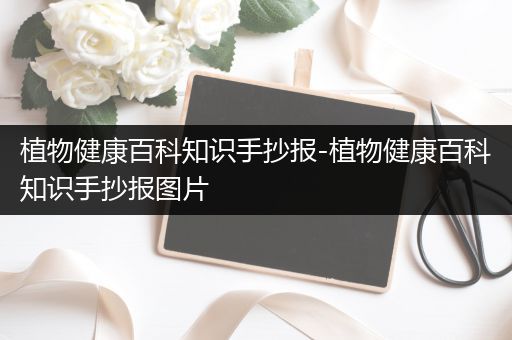 植物健康百科知识手抄报-植物健康百科知识手抄报图片