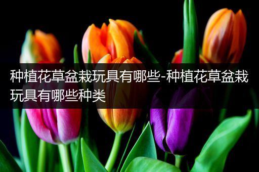 种植花草盆栽玩具有哪些-种植花草盆栽玩具有哪些种类