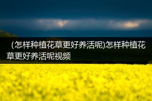 （怎样种植花草更好养活呢)怎样种植花草更好养活呢视频