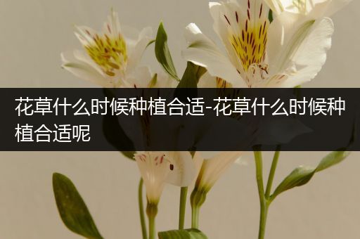花草什么时候种植合适-花草什么时候种植合适呢