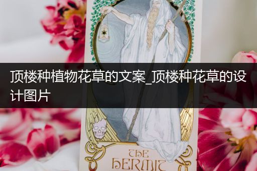 顶楼种植物花草的文案_顶楼种花草的设计图片