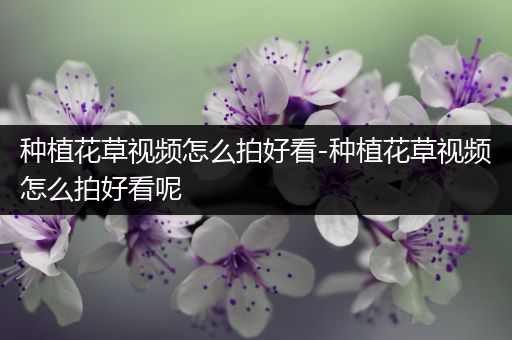 种植花草视频怎么拍好看-种植花草视频怎么拍好看呢