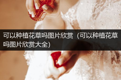 可以种植花草吗图片欣赏（可以种植花草吗图片欣赏大全）