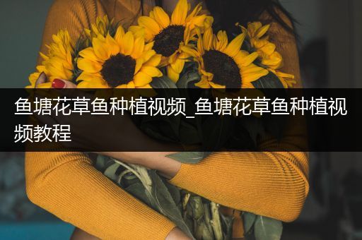 鱼塘花草鱼种植视频_鱼塘花草鱼种植视频教程