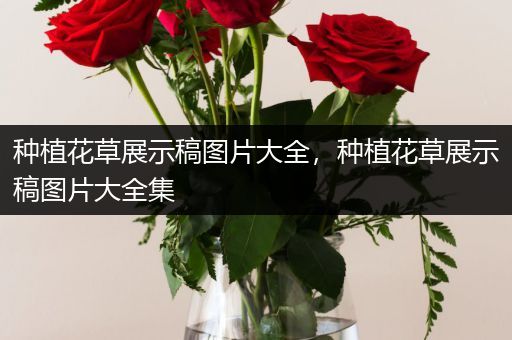 种植花草展示稿图片大全，种植花草展示稿图片大全集