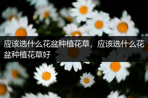 应该选什么花盆种植花草，应该选什么花盆种植花草好