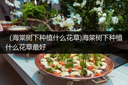 （海棠树下种植什么花草)海棠树下种植什么花草最好