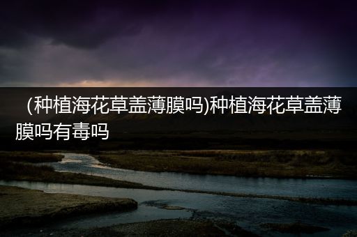 （种植海花草盖薄膜吗)种植海花草盖薄膜吗有毒吗