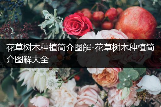 花草树木种植简介图解-花草树木种植简介图解大全