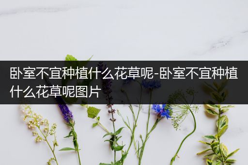 卧室不宜种植什么花草呢-卧室不宜种植什么花草呢图片