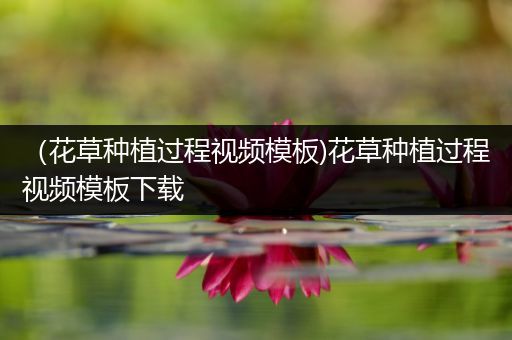 （花草种植过程视频模板)花草种植过程视频模板下载