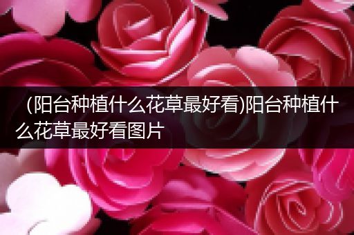 （阳台种植什么花草最好看)阳台种植什么花草最好看图片