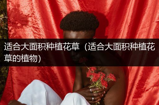 适合大面积种植花草（适合大面积种植花草的植物）
