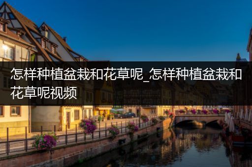 怎样种植盆栽和花草呢_怎样种植盆栽和花草呢视频
