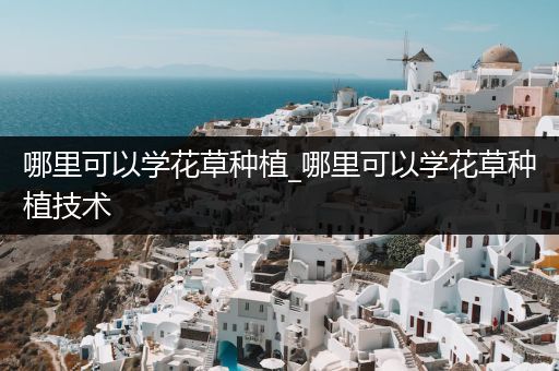 哪里可以学花草种植_哪里可以学花草种植技术