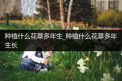 种植什么花草多年生_种植什么花草多年生长