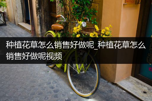 种植花草怎么销售好做呢_种植花草怎么销售好做呢视频