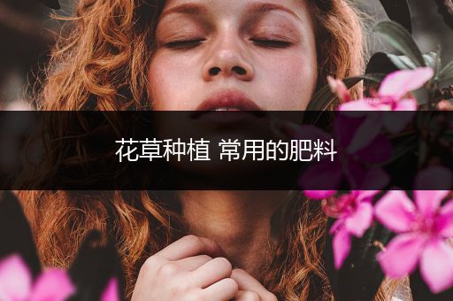 花草种植 常用的肥料