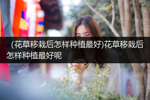 （花草移栽后怎样种植最好)花草移栽后怎样种植最好呢