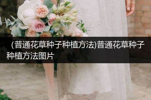 （普通花草种子种植方法)普通花草种子种植方法图片